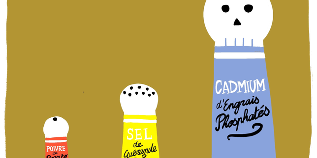 Cadmium : le métal lourd toxique qui contamine nos aliments